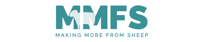 mmfs-logo-1-small.png